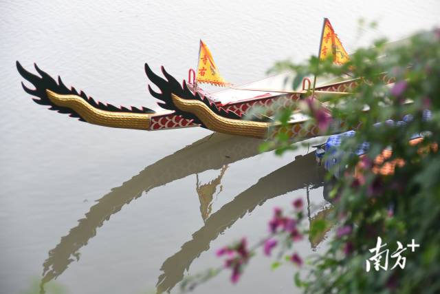 备战端午,广州龙船正“梳洗打扮”