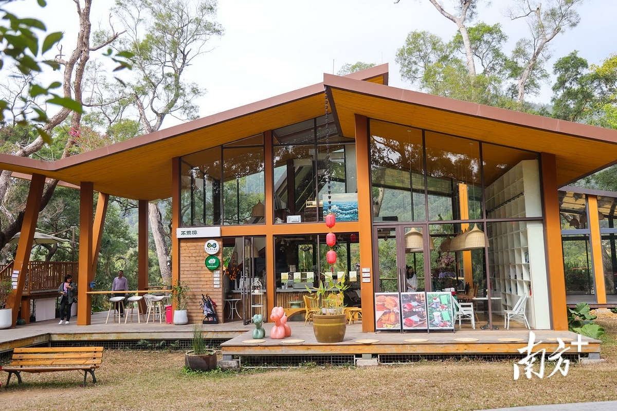 “不荒樟”咖啡书屋。 南方+ 叶志文 拍摄