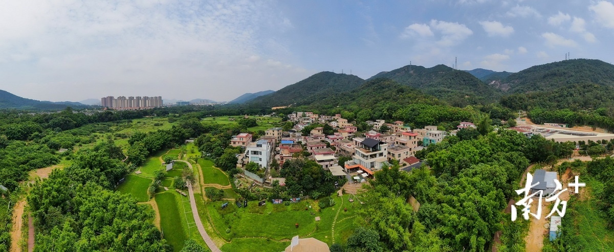 桂南村航拍。 南方+ 叶志文 拍摄