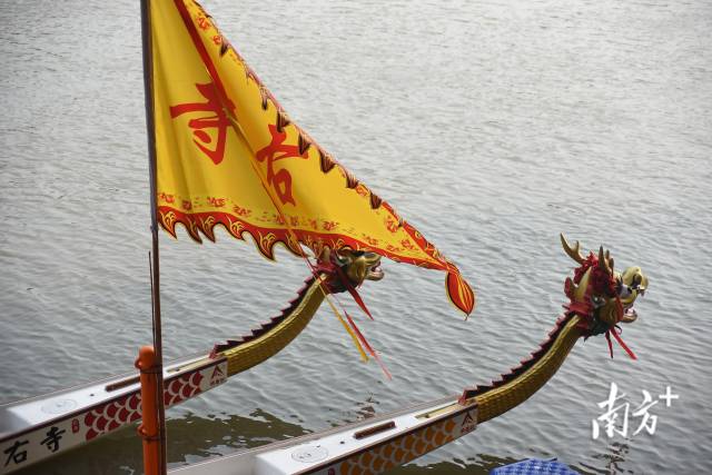 备战端午，广州龙船正“梳洗打扮”