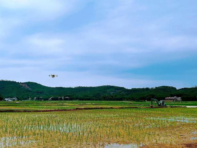 沪指午后震荡回落跌0.14% 通信设备板块走强