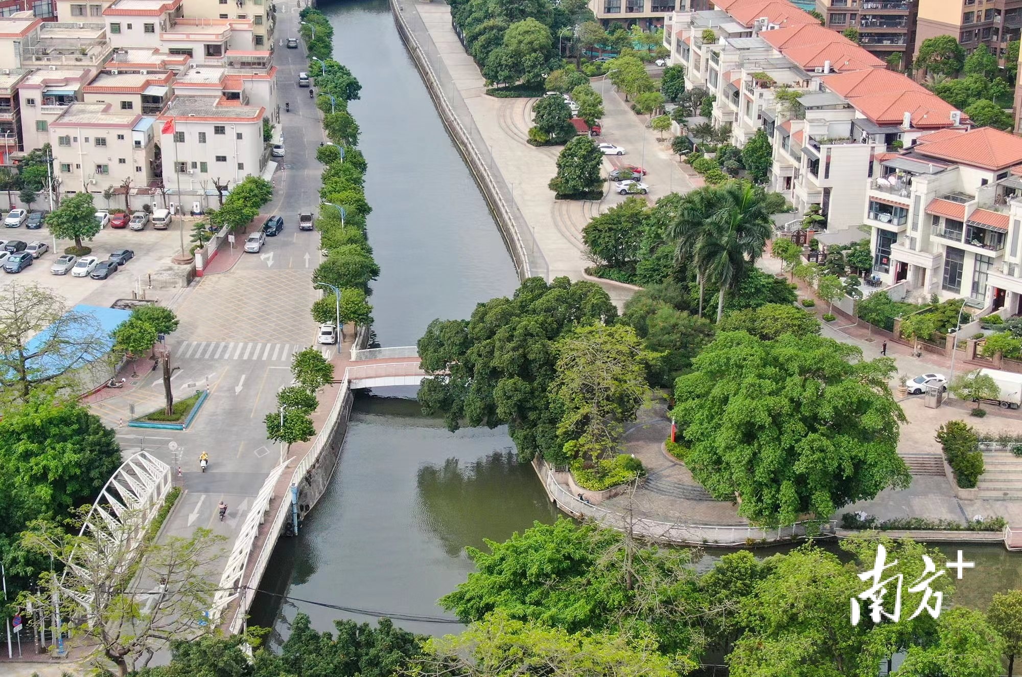 图为小榄兆益涌。 南方+ 叶志文 拍摄