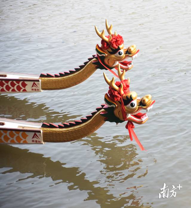 备战端午，广州龙船正“梳洗打扮”