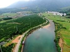 乳源大寮坑村委：用心描绘“三幅画”，打造绿美新瑶乡