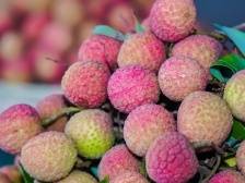 仙品荔红了又红，好日子甜了更甜 |“仙品荔”征文优秀获奖作品②