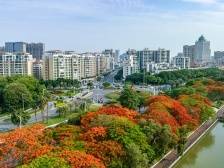 肇庆：奋斗激情点燃“五月红”，拼搏实干按下“快进键”