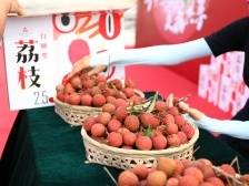 仙品荔，每一枚果实都与幸福有关 |“仙品荔”征文优秀获奖作品③