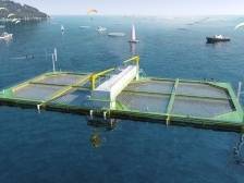 打造“粤海粮仓”，珠海“伶仃牧场1号”养殖平台开建