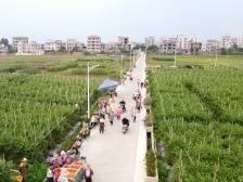 石仔岭街道镇大岭村：“三变”改革带来三变｜茂名典型村一线行⑰