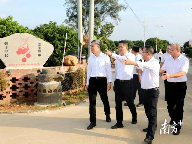駱華慶（前排左二）到烏塘調(diào)研荔枝發(fā)展情況
