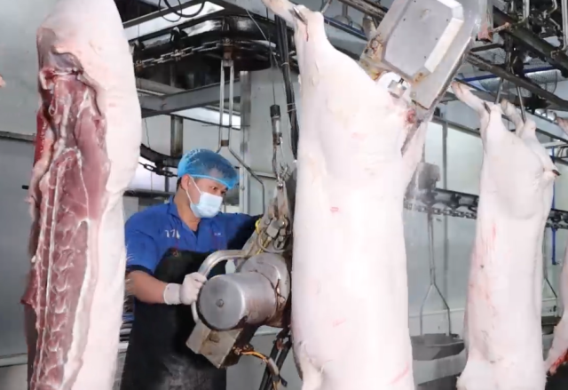 猪肉分割流水线。 猪肉分割流水线。