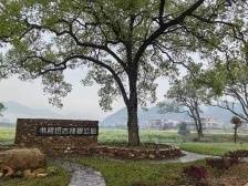 仁化里周村：谱好乡村绿化“四部曲”，奏响绿美乡村“最强音”