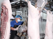 从化食品企业：日产1200头生猪加工品，供好湾区“放心肉”
