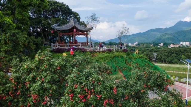 甜蜜“520”，茂名高州见！