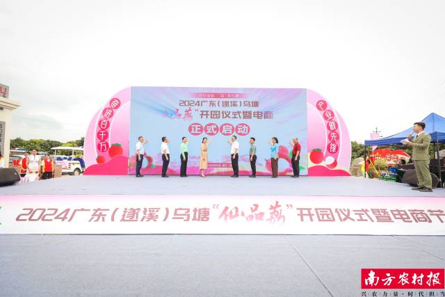 2024广东（遂溪）乌塘“仙品荔”开园上市仪式启动