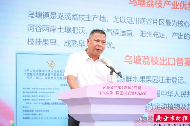 乌塘镇党委副书记、镇长吴垂超推介仙品荔