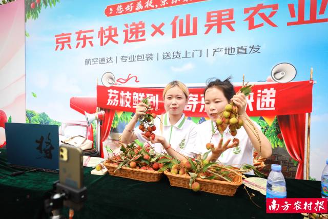 活动现场进行荔枝带货直播 