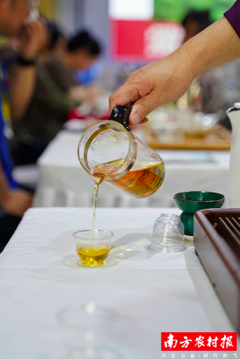 英德红茶以“浓醇甜香”的特点深受茶友的喜爱。