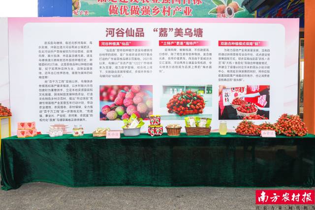 河谷仙品 “荔”美乌塘