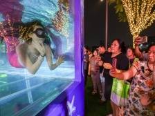 图集｜深圳渔博会现场，“美人鱼”惊艳亮相