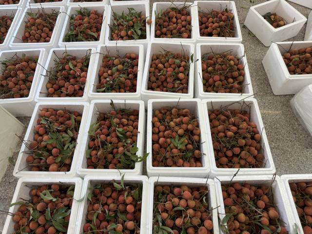 南方农村报 李嘉镓 制图