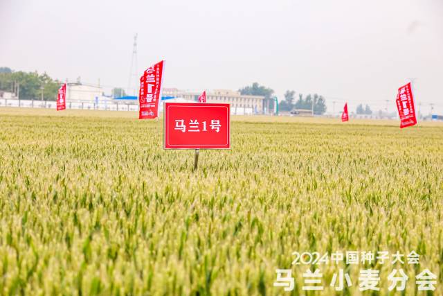 原神徇察五风活动玩法全面解析 风场机关挑战技巧与高效通关攻略指南