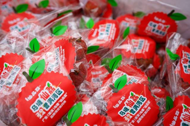 遂溪“仙品荔”