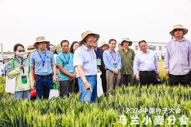 不可忽视的沙门氏菌：夏秋季为感染高峰期，儿童感染占比较高