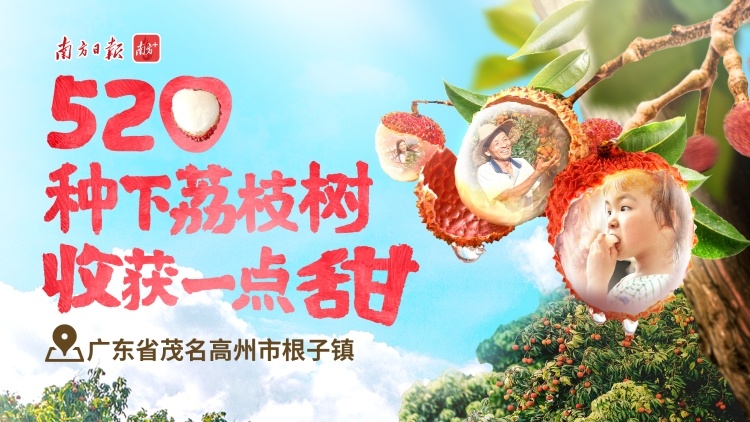种下荔枝树，收获别样甜，520约定你！