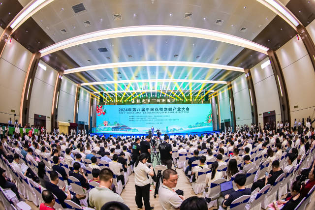 大会现场。摄影 吴秒衡