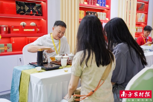 国内茶博会上，还能喝到好茶广东涟瑶生态农业有限公司负责人正在为茶友冲泡连南大叶茶。清远