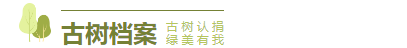 五粮液是什么梗