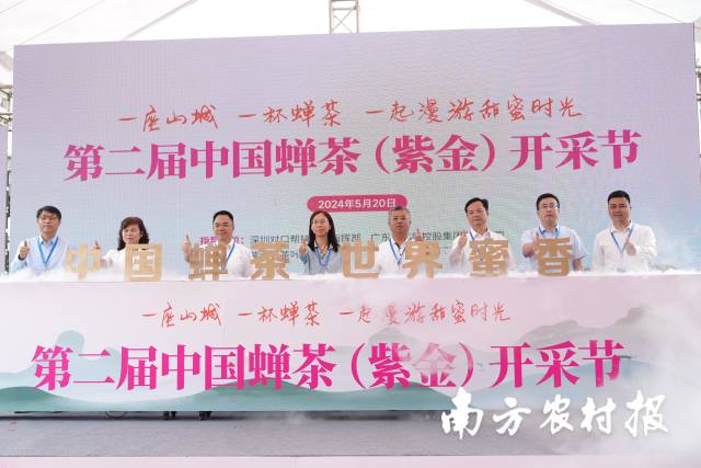 第二届中国蝉茶（紫金）开采节活动现场，紫金县宣布将每年的5月20日设立为紫金“蝉茶日”。  