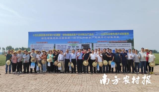 十四五国家重点研发计划课题“绿色增值尿素产品创制与产业化”小麦绿色增产示范现场会现场。