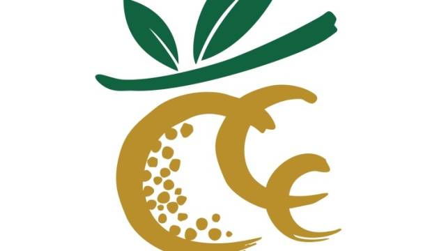 “茂名龙眼”区域公用品牌LOGO发布