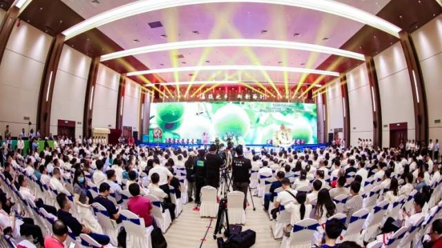 2024年第八届中国荔枝龙眼产业大会