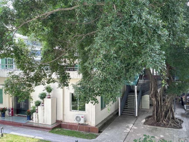 园区绿意葱茏。