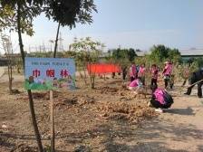 兴宁兴田街道：激活基层治理“她力量”，共绘“百千万工程”巾帼新篇章