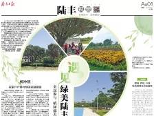 遇见绿美陆丰 唤起绿美乡愁｜速览《南方日报·陆丰视窗》第51期