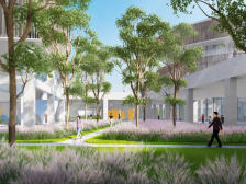 空间赋能东莞第二所公办未来学校，在滨海森林遇见未来教育