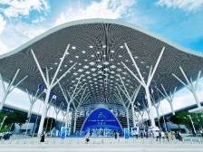 文化凝视城市：文博会20年“松软地带”长出参天大树