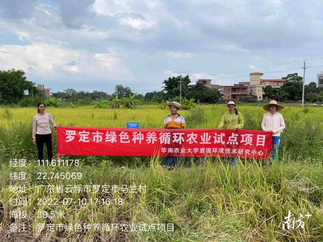 罗定市绿色种养循环农业试点项目