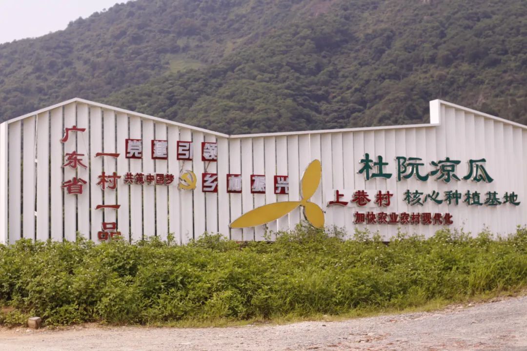 甜甜圈摄