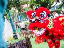 逛文博会，东东联动“抓大鹅”