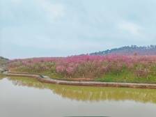 云浮农商银行三个方向发力，“贷”动绿色发展 | 金融赋能高质量发展③