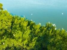 解“硒”甜美遂溪的长寿密码 | 速览《南方日报·遂溪视窗》107期