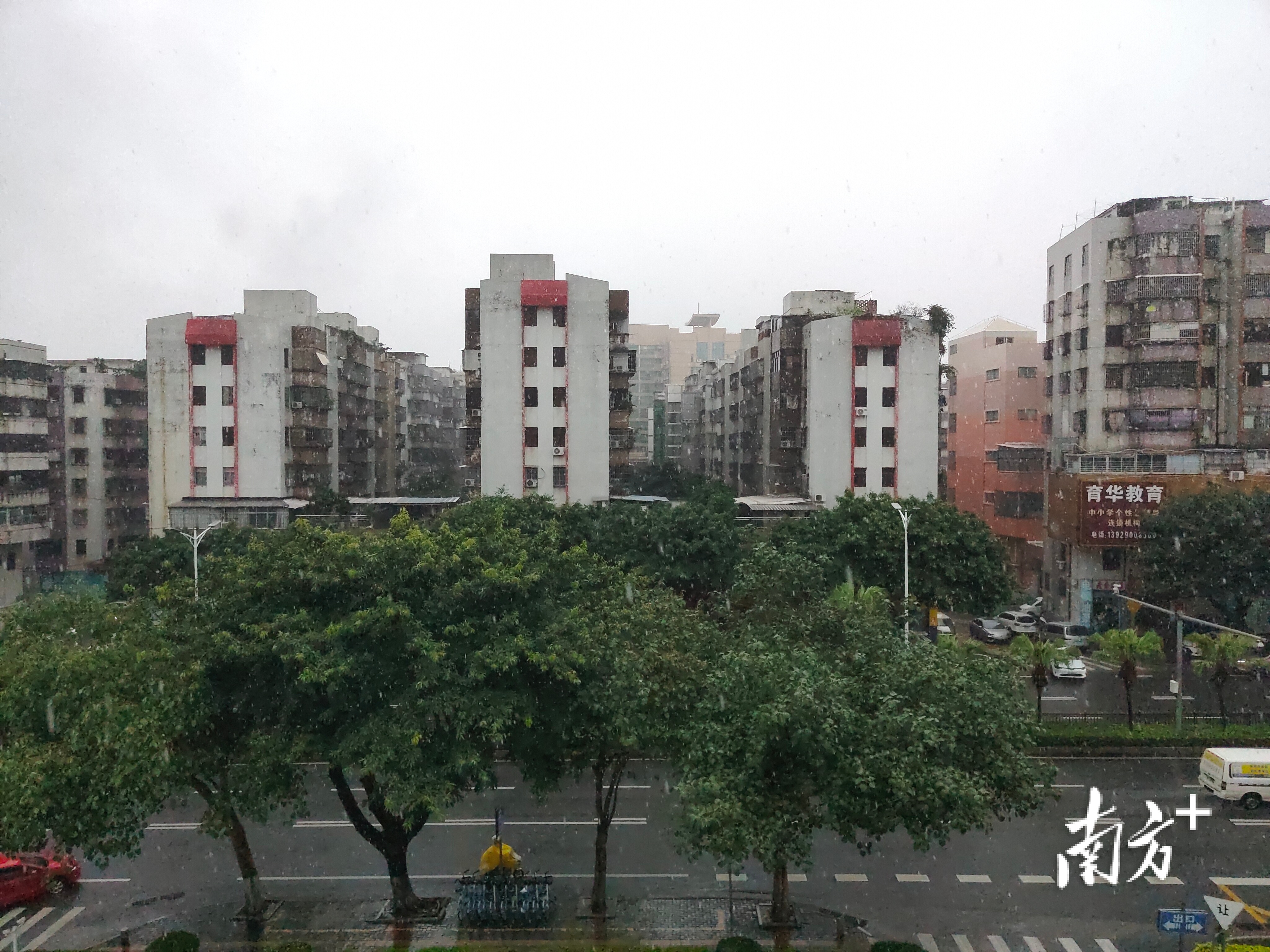 蓬江区、江海区暴雨橙色预警信号生效中。 南方+李衡昌 拍摄