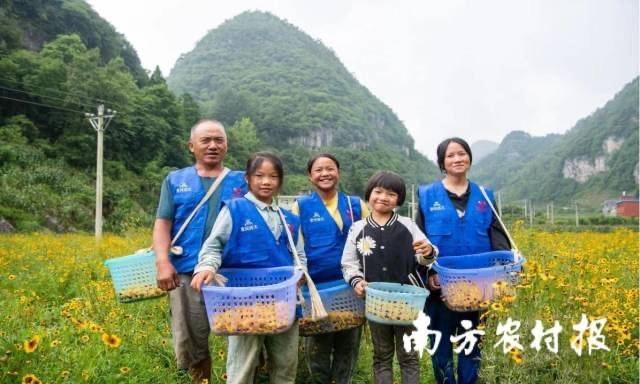 南方農(nóng)村報(bào) 李嘉鎵 制圖