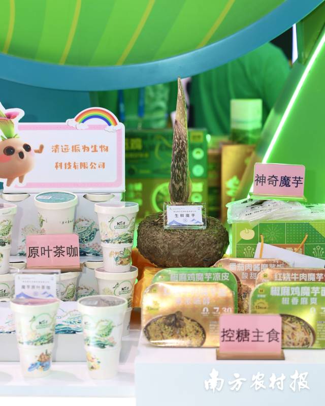 清远市佛冈县水头镇的吹氧魔芋产品，亮相第二十届文博会广东展馆。