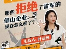 那些拒绝了雷军的佛山企业，现在怎么样了？｜叶·问